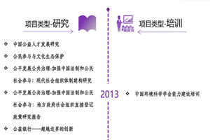 大鸡巴干我骚逼视频非评估类项目发展历程